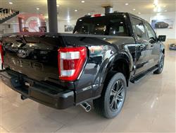 فۆرد F-150
